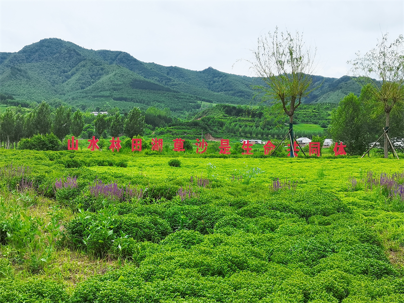 9圍場縣釣魚臺驛站生態(tài)景區(qū).jpg